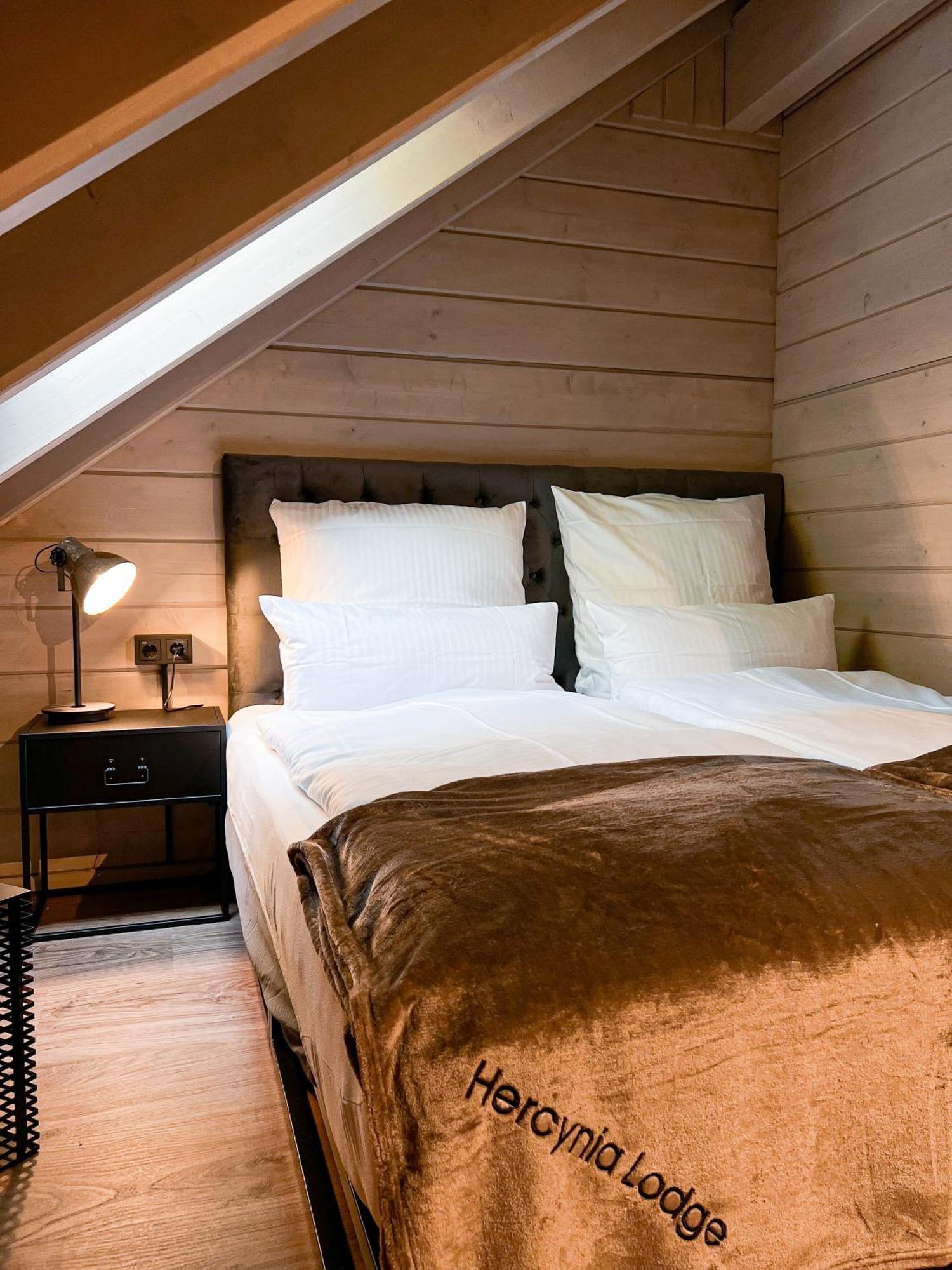 Hercynia Lodge Bad Lauterberg Eksteriør bilde